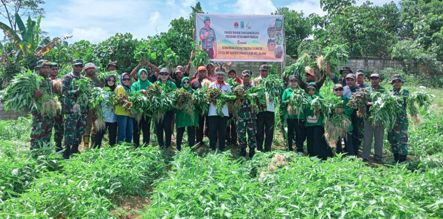 Dukung Program Hanpangan dan Wujudkan Swasembada Pangan, Koramil Biak Utara Panen Sayur