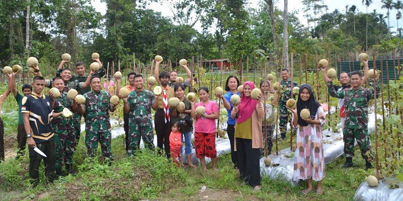Dandim 1710/Mimika Pimpin Panen Tanaman Melon Di Lahan&nbsp;Kodim