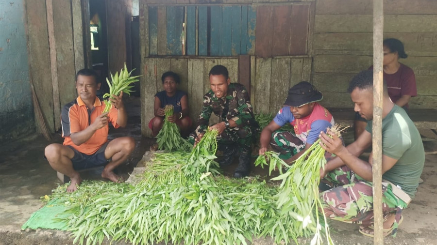 Kebersamaan TNI-Rakyat, Babinsa Bantu Bersihkan Sayur Kangkung Usai&nbsp;Panen